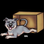 puppy in a box (free base)