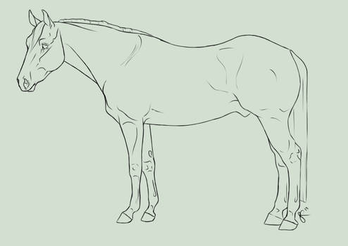 FREE Quarter Horse Lines