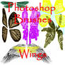 Photoshop WINGS brushes