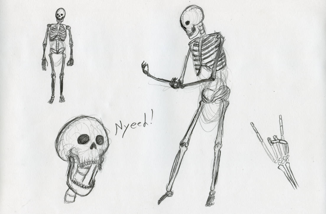 Skeletons by TechnOkami on DeviantArt