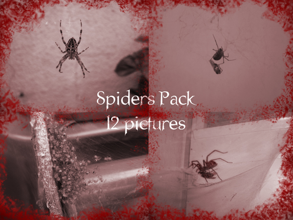 Spiders Pack