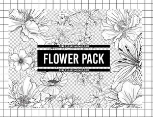 FLOWER PNG PACK