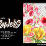 PNG PACK - FLOWERS