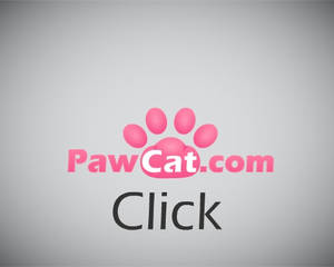 Pawcat animated logo