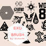 EXO Brush