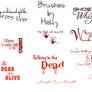 Ghost Whisperer Text Brushes