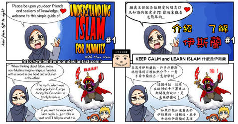 Understanding Islam for Dummies (Chinese)