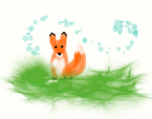Tom the Fox