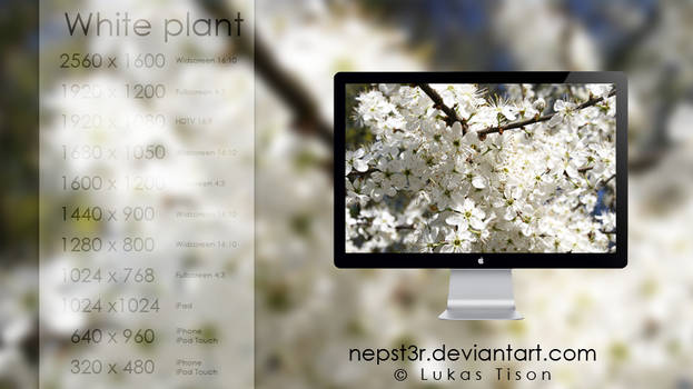 White plant wallpapers pack