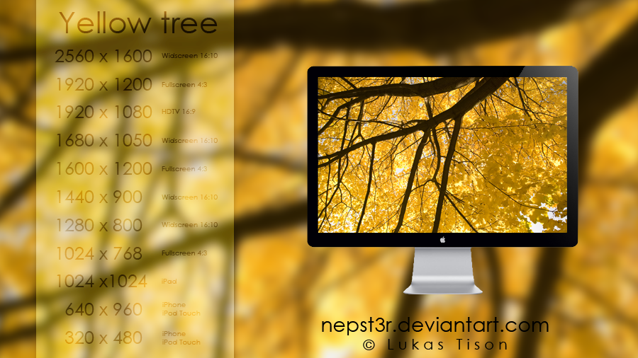 Yellow tree wallpapers pack