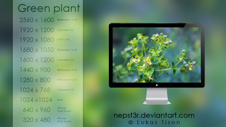 Green plant wallpapers pack