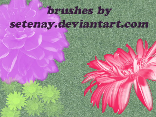 photoshop_brushes_5_Flowers