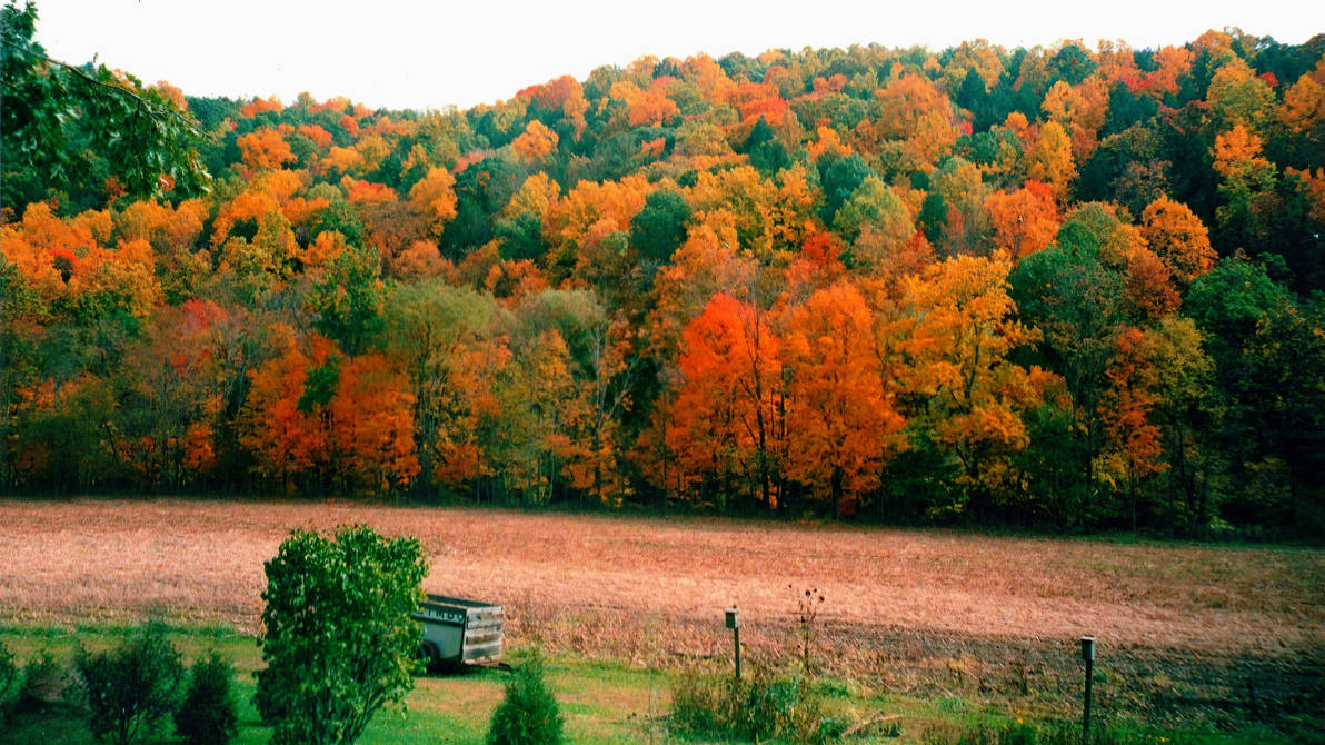 Fall Terrain Fall Landscape #2 by dakotaatokad on DeviantArt