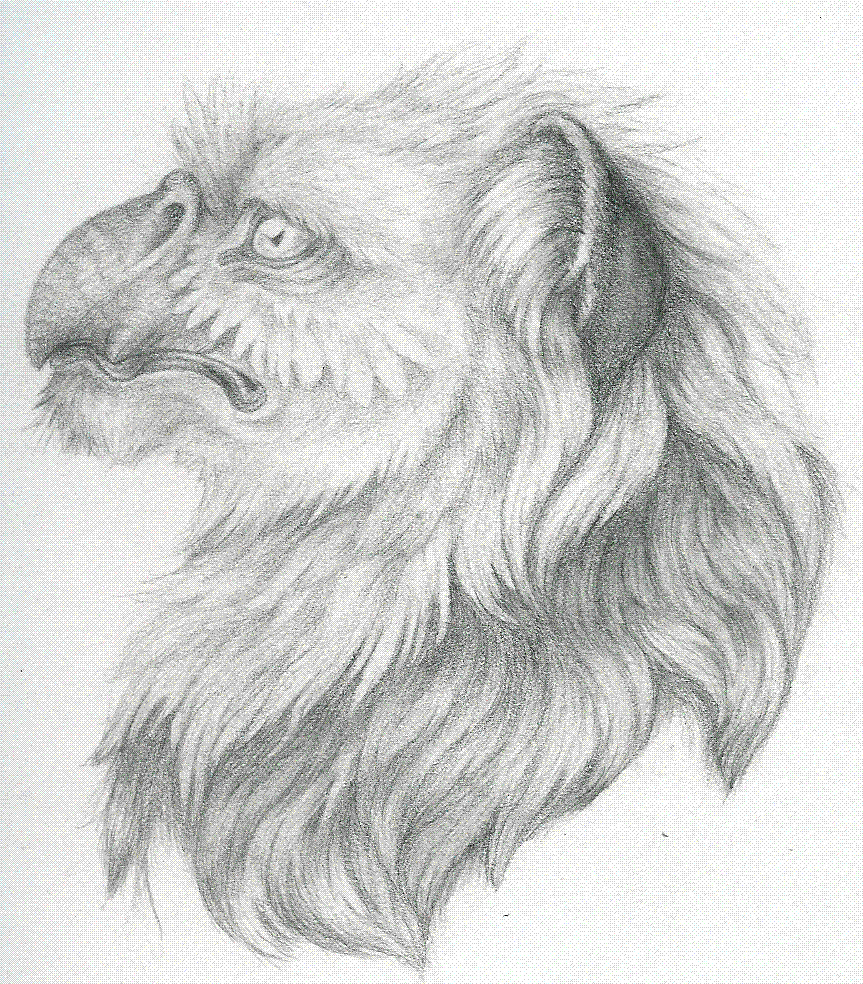 A Griffin? by BramletAmbercrombie
