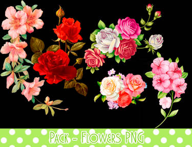 Pack - Flowers PNG #1