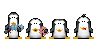 Penguins-R-Cool