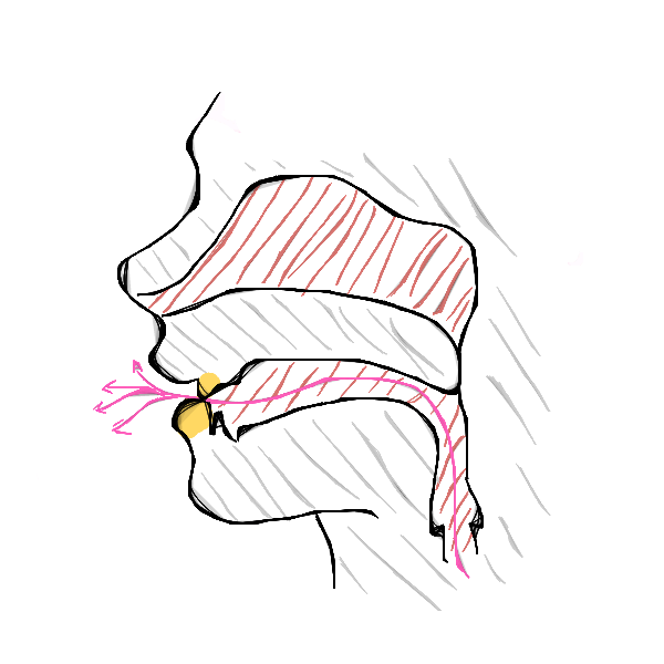Labiodental Fricative Consonants. by idontneedheaven on DeviantArt