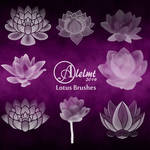 Lotus Photoshop Brushes