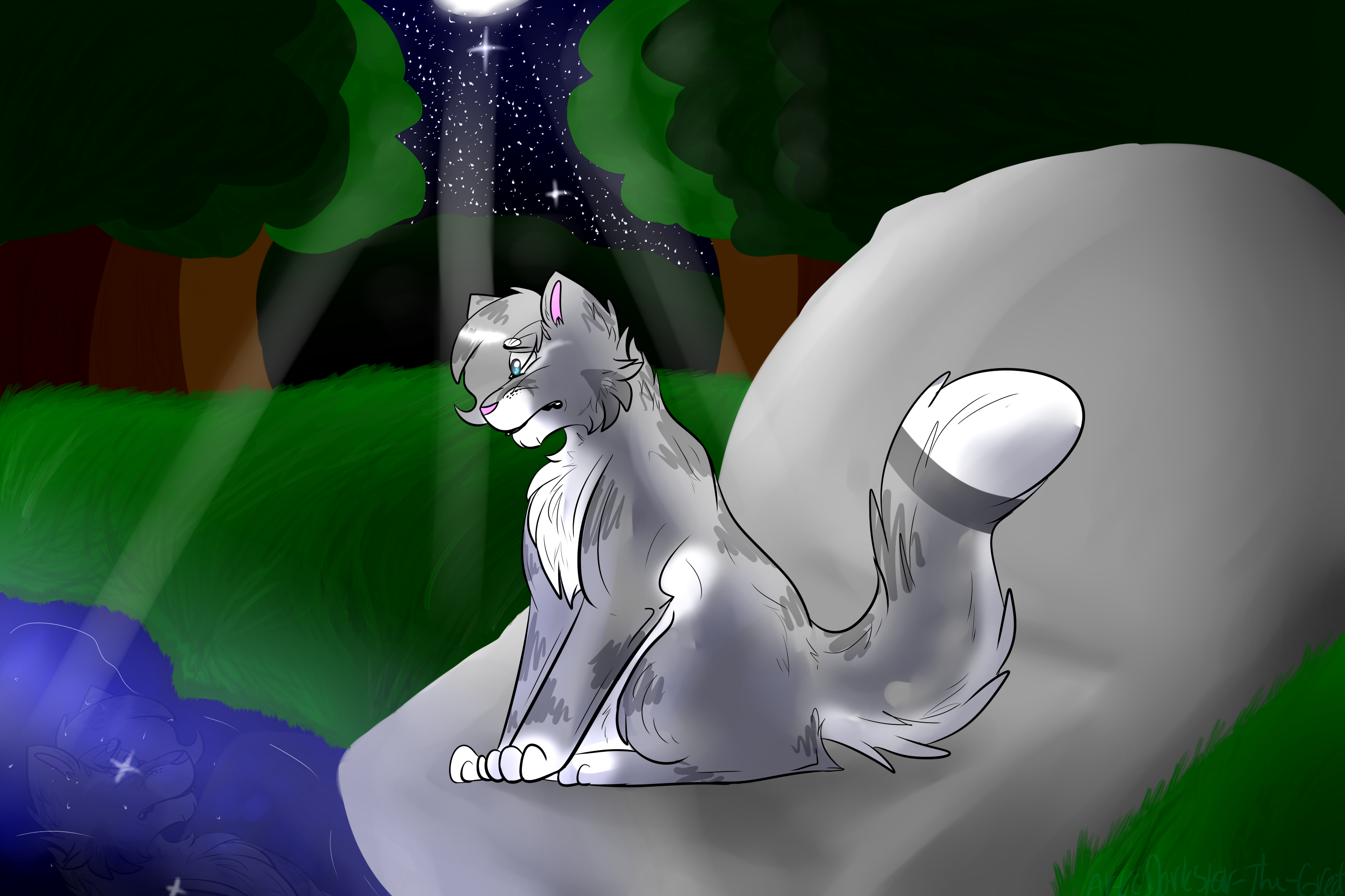 Jayfeather by the moonpool -REDRAW-