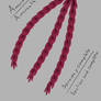 Amaranth Pack