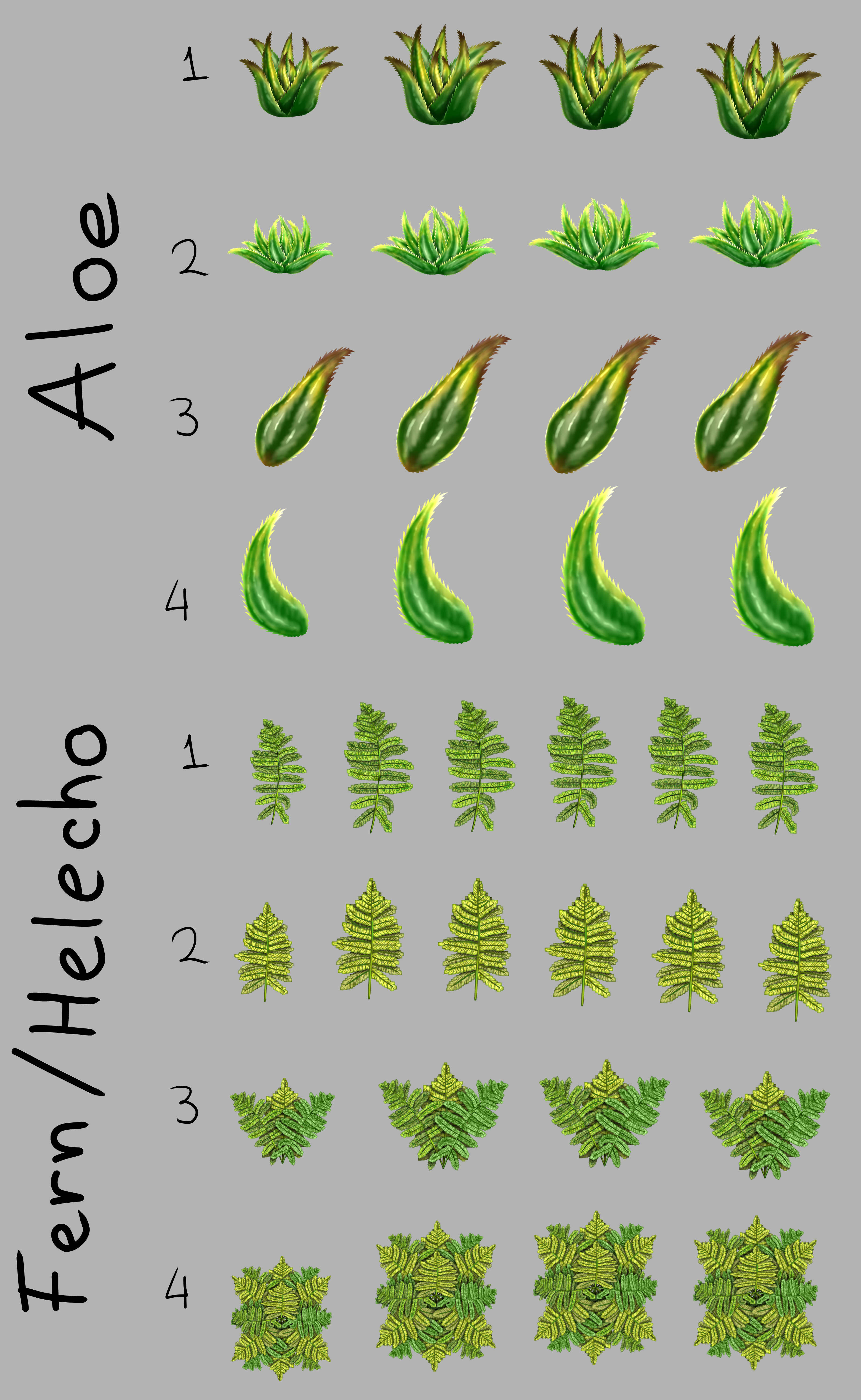 Aloe Fern Pack