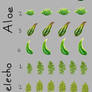 Aloe Fern Pack