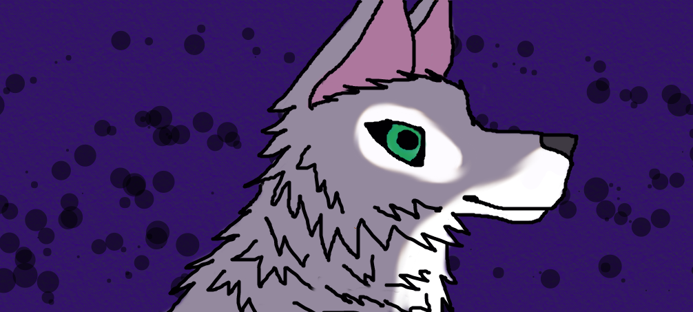 Another Wolf by BlackWolf25603 on DeviantArt