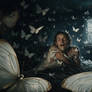 The Butterfly Nightmare