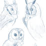 Digital owl sketches