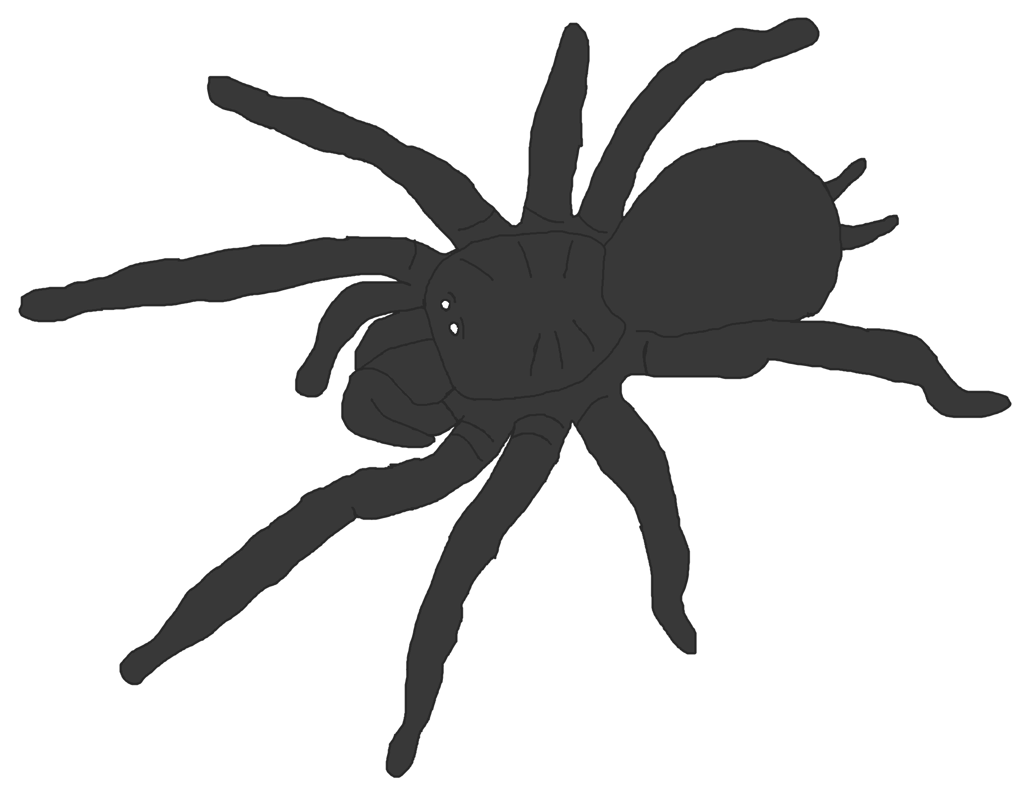 Brazilian Black (Weak Drawing) by ChalkBugs on DeviantArt