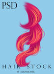 Hair Stock - psd by akramkamil