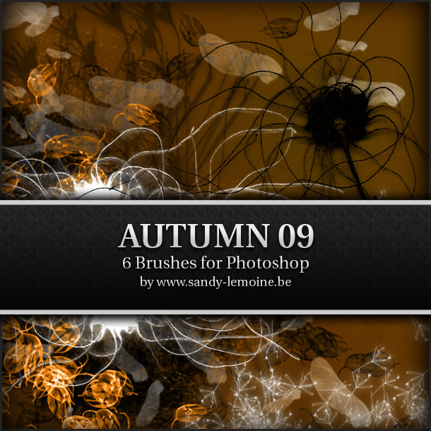 Automn 09