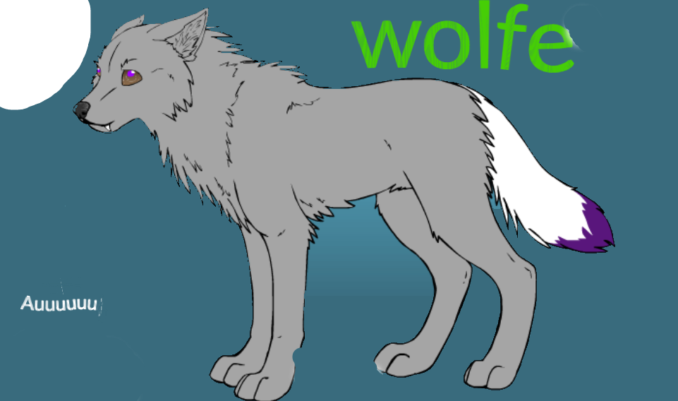 wolf in the moonlight by thedodelemaster on DeviantArt
