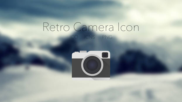 Retro Camera Icon