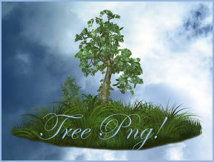 Tree png free