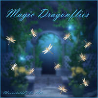 Magic Dragonflies free png