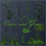 Vines and Grass png