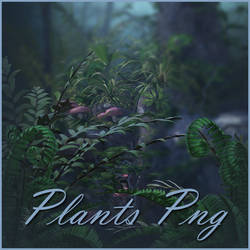 Plants Png