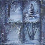 Winter Forest backgrounds by moonchild-ljilja