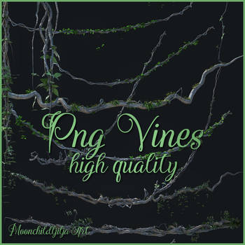 Png Vines new by moonchild-ljilja