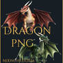 Dragon small pack