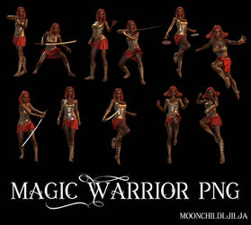 Magic Warrior