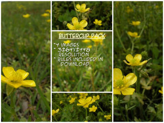 buttercup stock pack