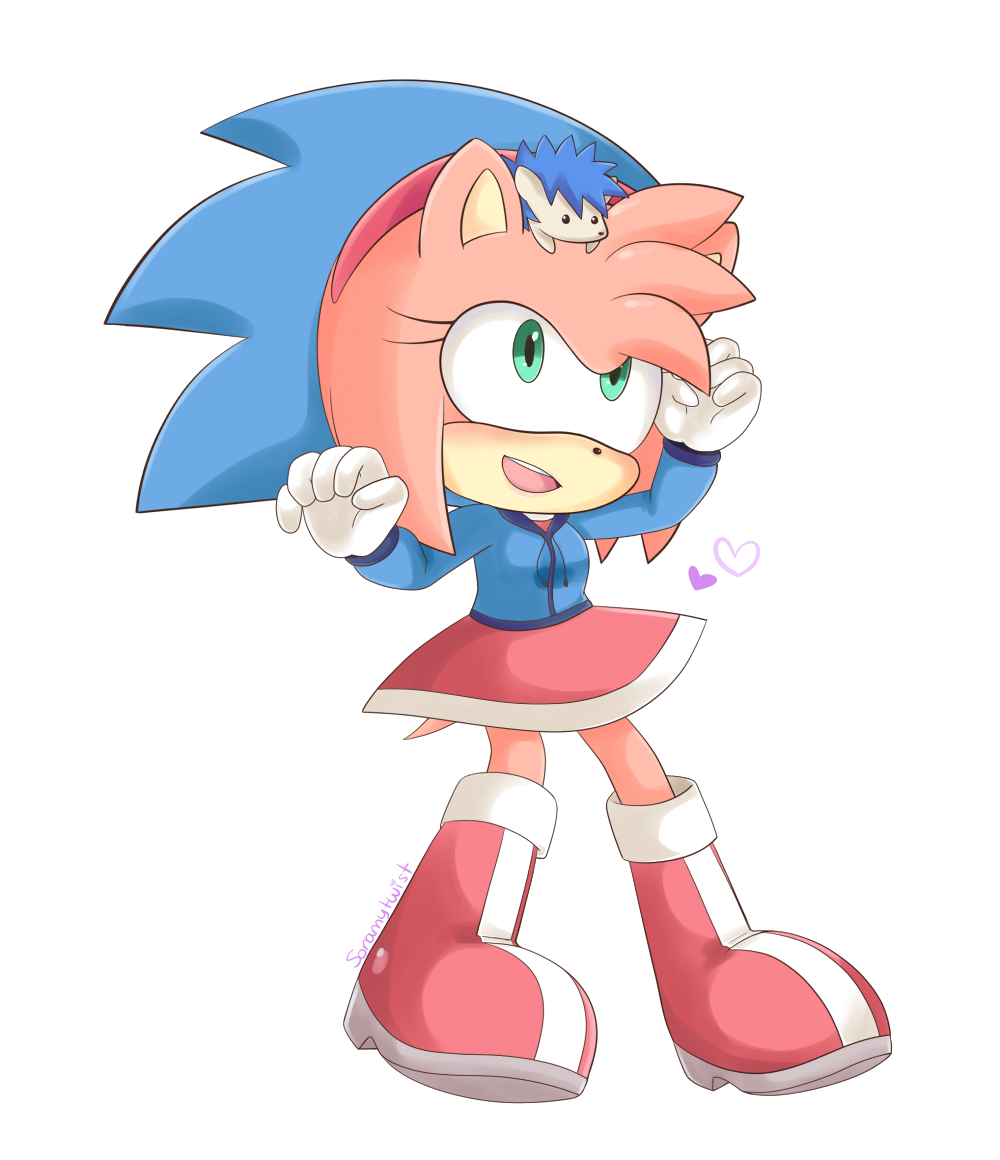 COM: Amy and...Sonic?