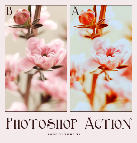 Photoshop Action