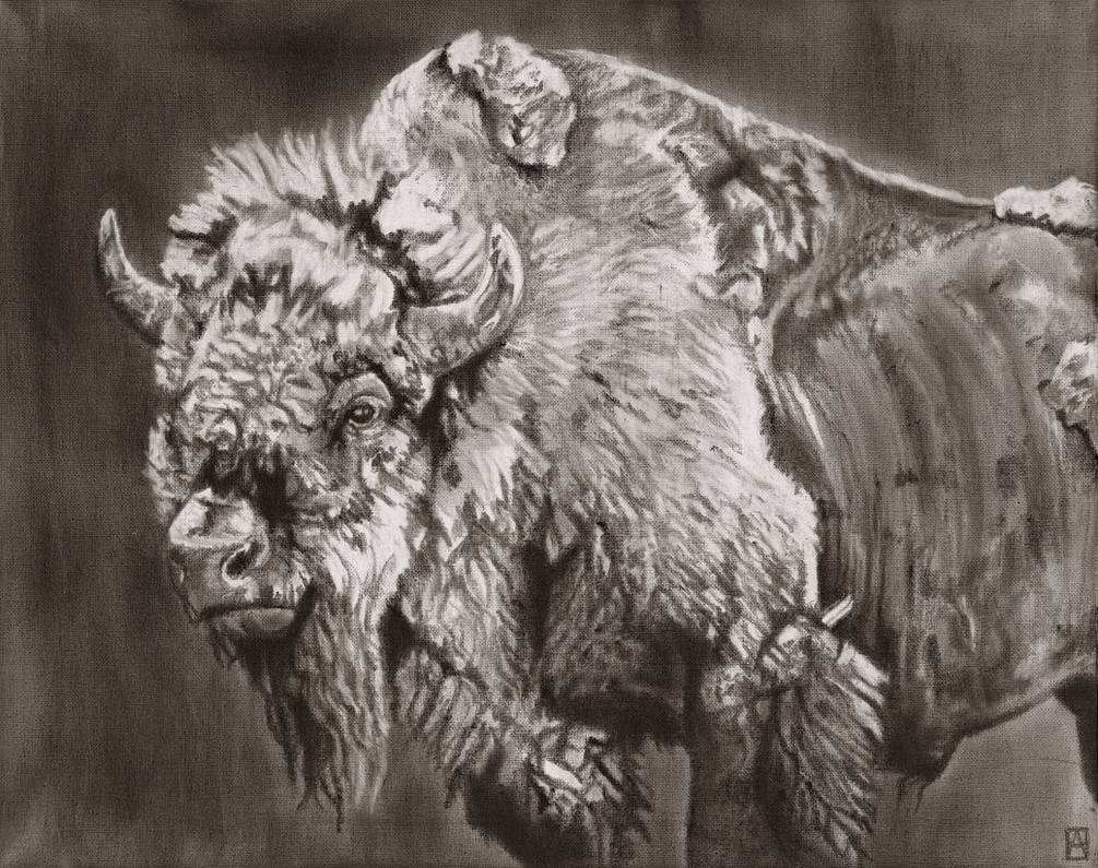 Charcoal Bison by CoypuCoyote on DeviantArt