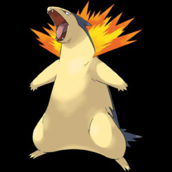 A Beginning and an Ending: Typhlosion TF by pokesonicfanthomas on ...