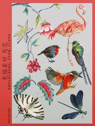 Flowers and Birds 10P png