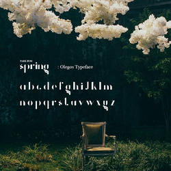 ParkBom Spring font