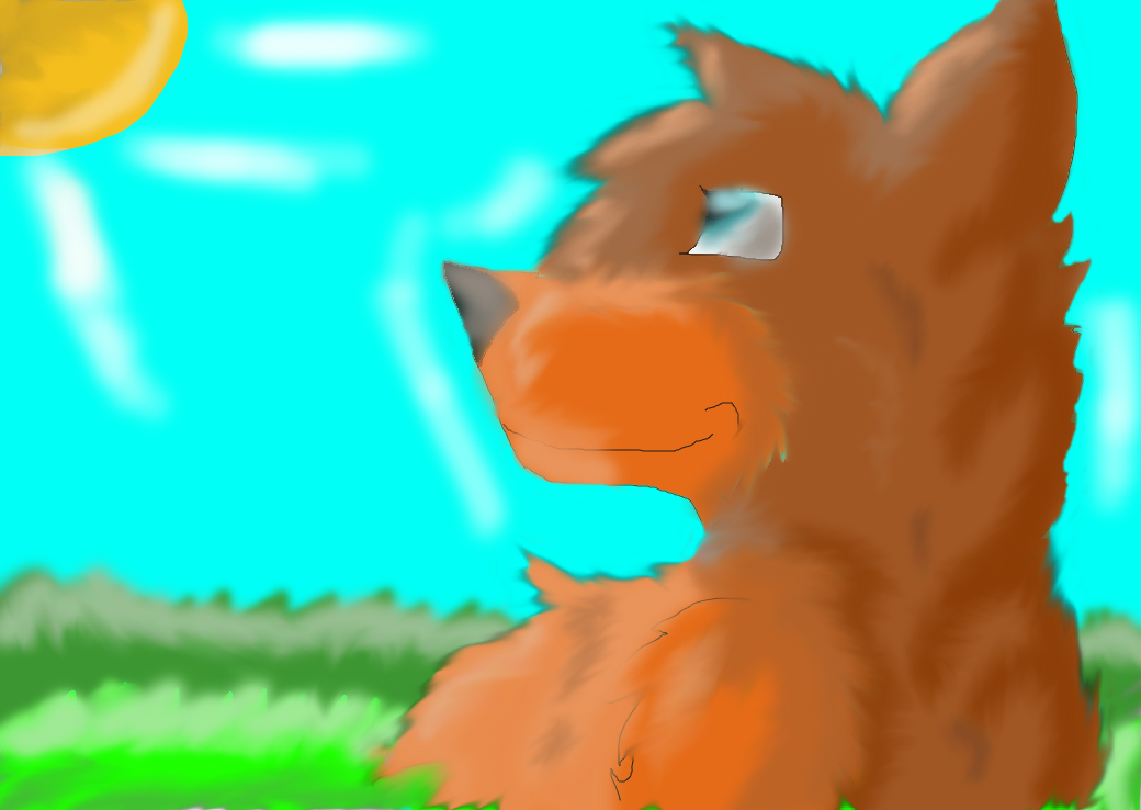 Wolf in the park. by Awesome1472 on DeviantArt
